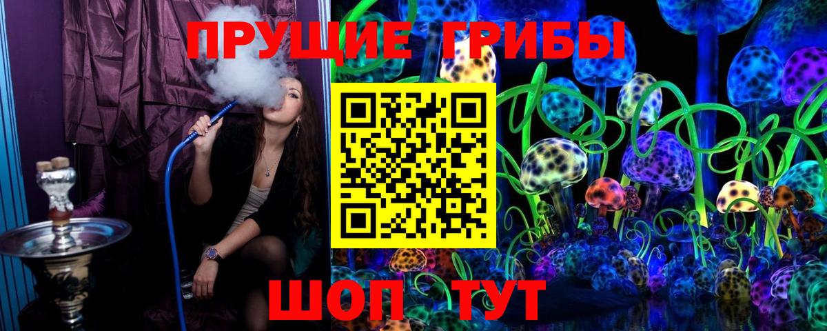 Галлюциногенные грибы Psilocybine cubensis  Галлюциногенные грибы Cubensis  Вход с VPN  Шелехов 